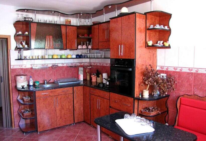 Пансион Casa Oana