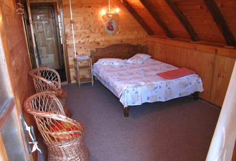 Пансион Casa Oana