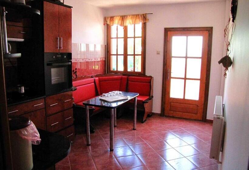 Пансион Casa Oana