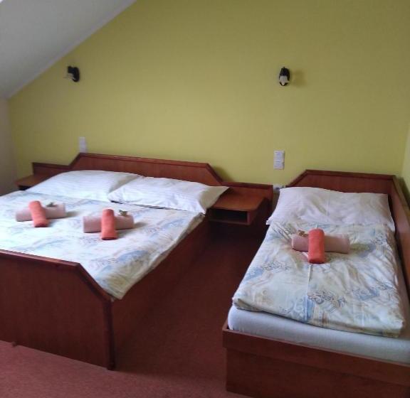 بنسيون Penzión Elizabetha