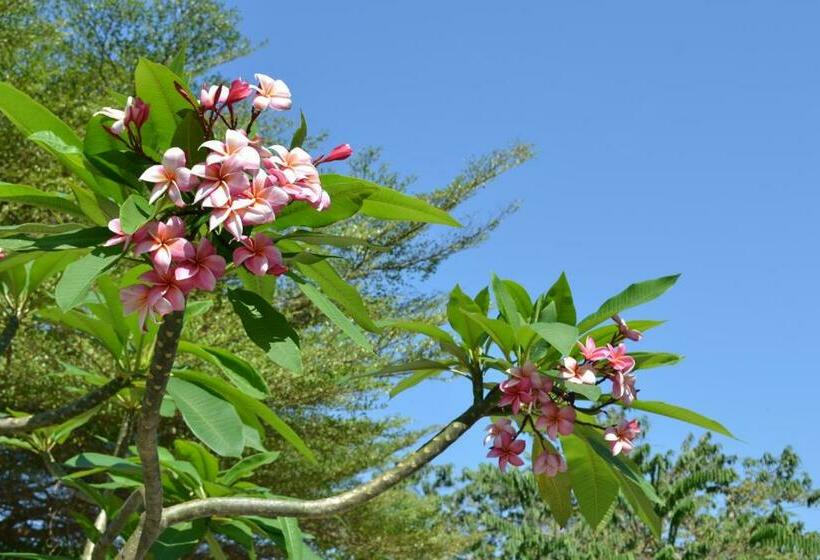 בית מלון כפרי Benjaporn Bungalow