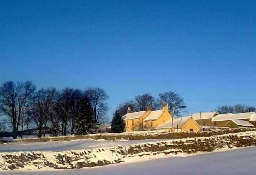 Newlands Hall Farmouse B&b