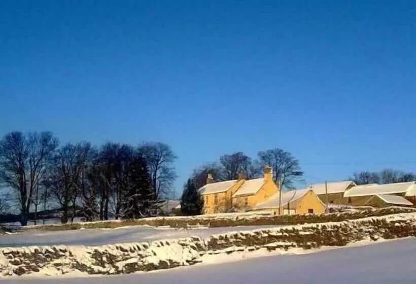 Newlands Hall Farmouse B&b