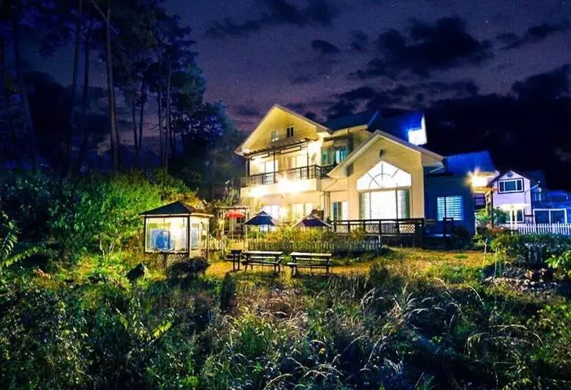 ホテル Gangneung Gyeongpo Bali Pension