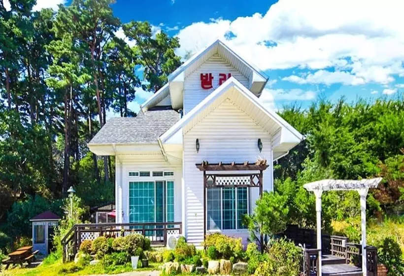 ホテル Gangneung Gyeongpo Bali Pension