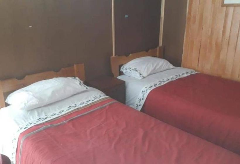 هاستل Backpacker 644