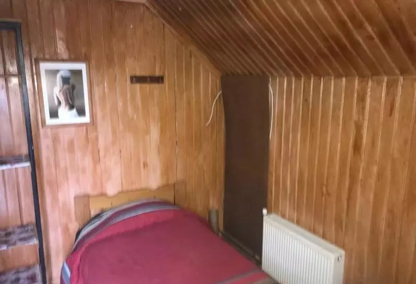 ユースホステル Backpacker 644