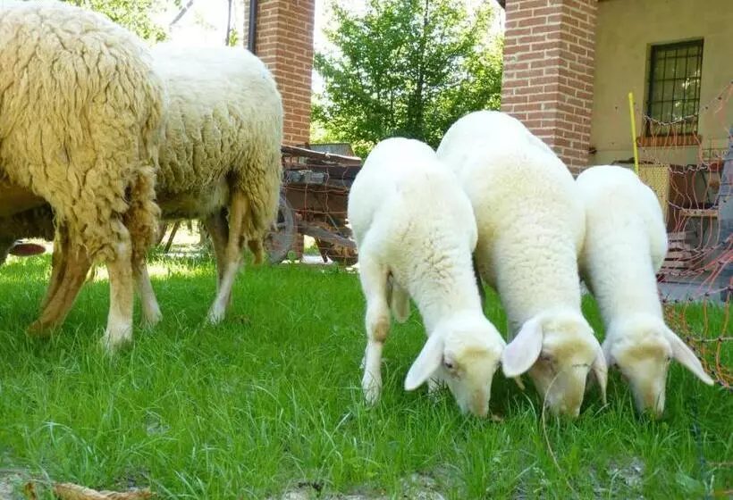 ホテル Agriturismo Viticcio