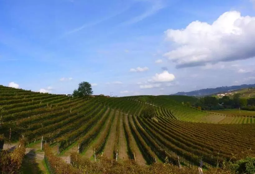 ホテル Agriturismo Viticcio