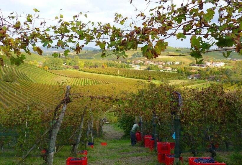 호텔 Agriturismo Viticcio