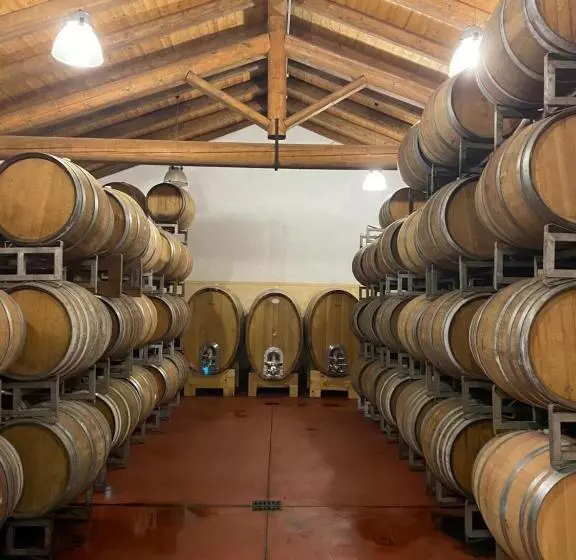 ホテル Agriturismo Viticcio