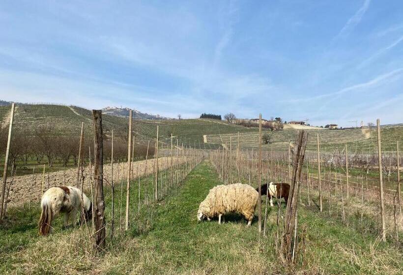 호텔 Agriturismo Viticcio