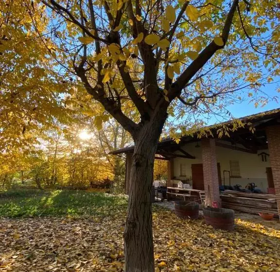 ホテル Agriturismo Viticcio