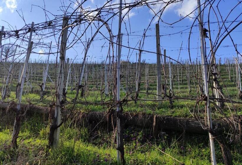 호텔 Agriturismo Viticcio