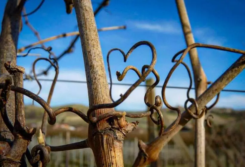 ホテル Agriturismo Viticcio