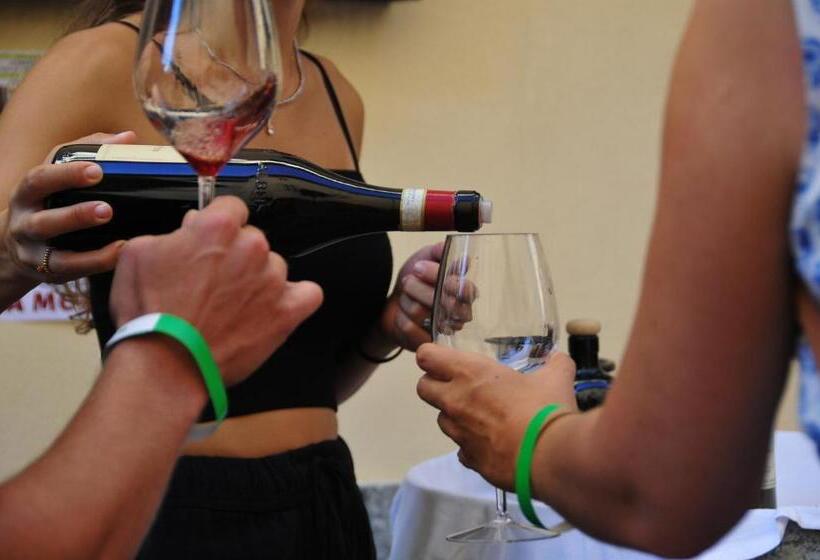 호텔 Agriturismo Viticcio