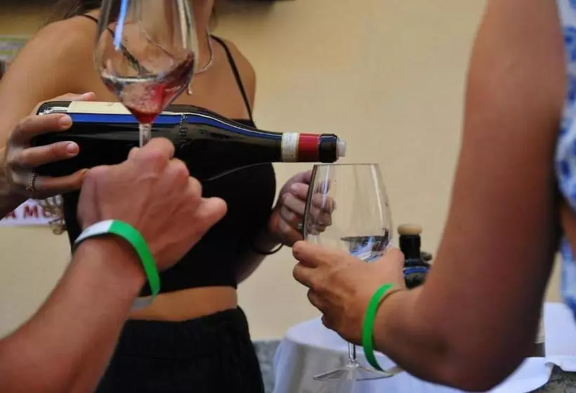ホテル Agriturismo Viticcio