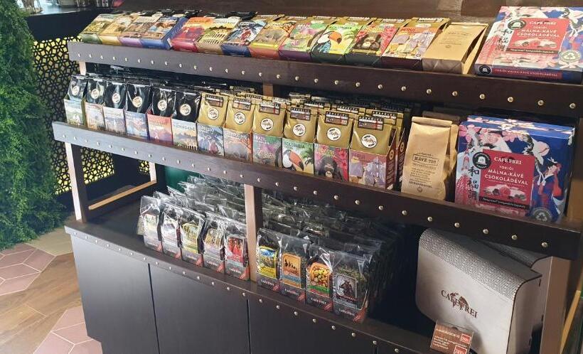 酒店 Baobab Suites