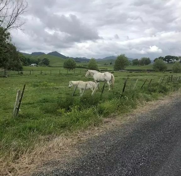 Lady Bowen Bed & Breakfast