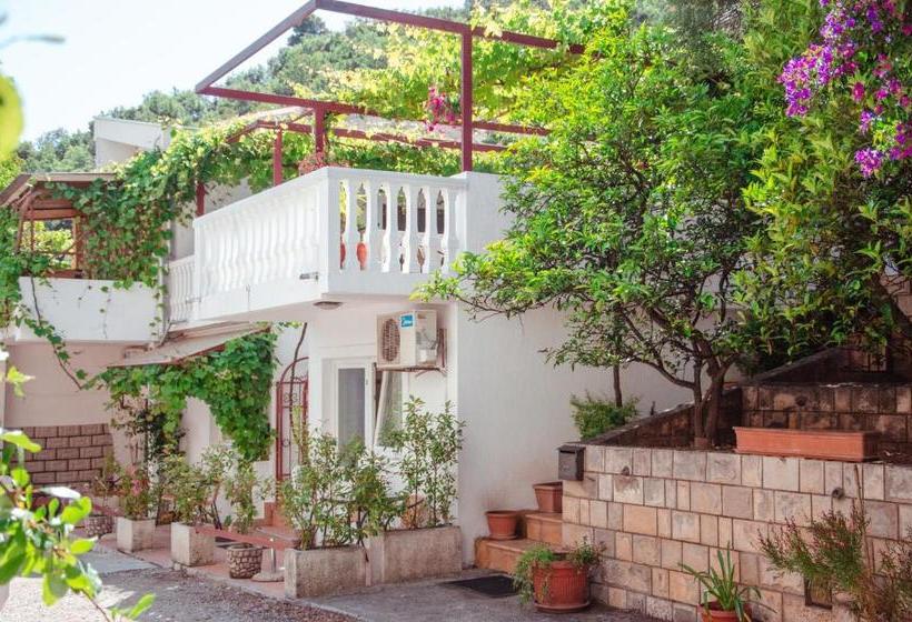 پانسیون Mediterranean Retreat Becici