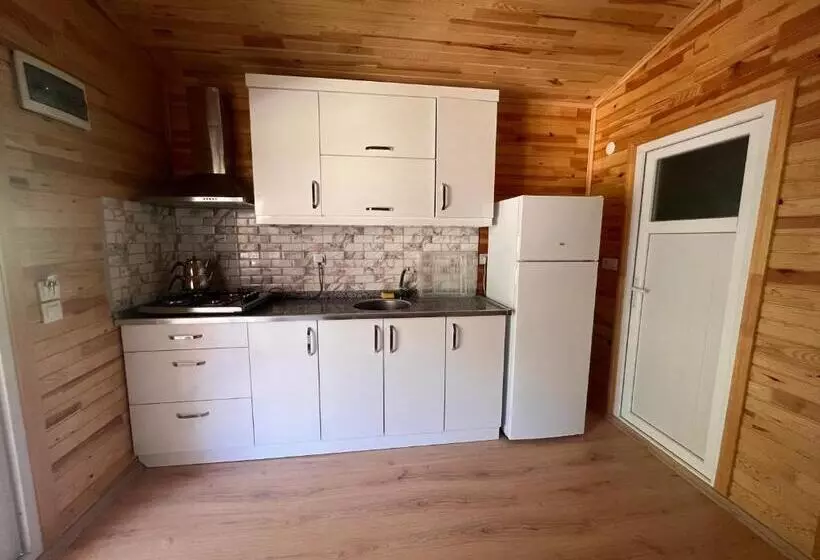 Adrasan Parlak Evleri