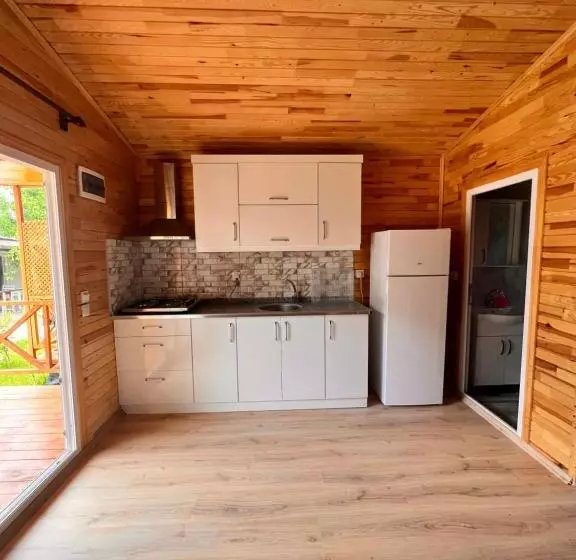 Adrasan Parlak Evleri