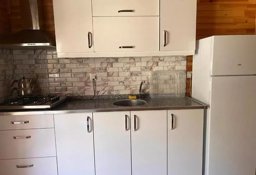 Adrasan Parlak Evleri