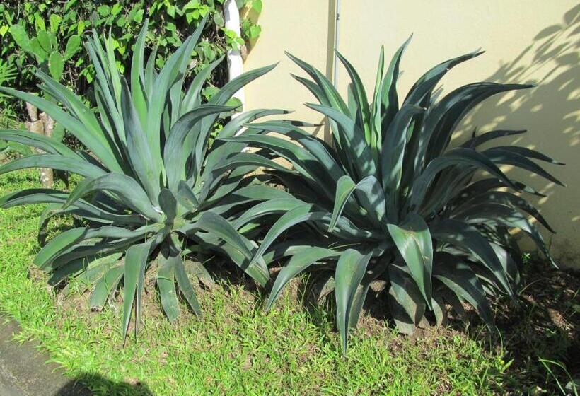 ユースホステル Marfi Inn