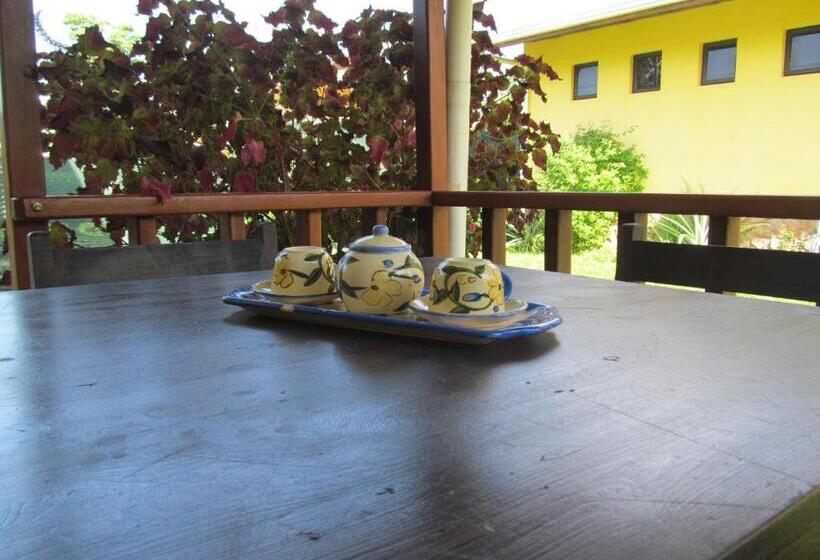 ユースホステル Marfi Inn