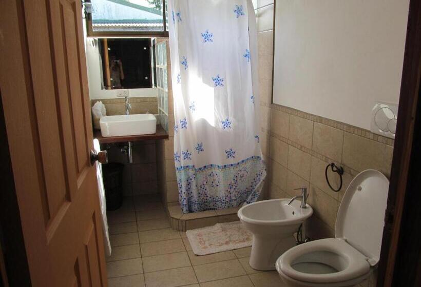 ユースホステル Marfi Inn