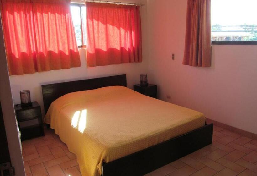 ユースホステル Marfi Inn