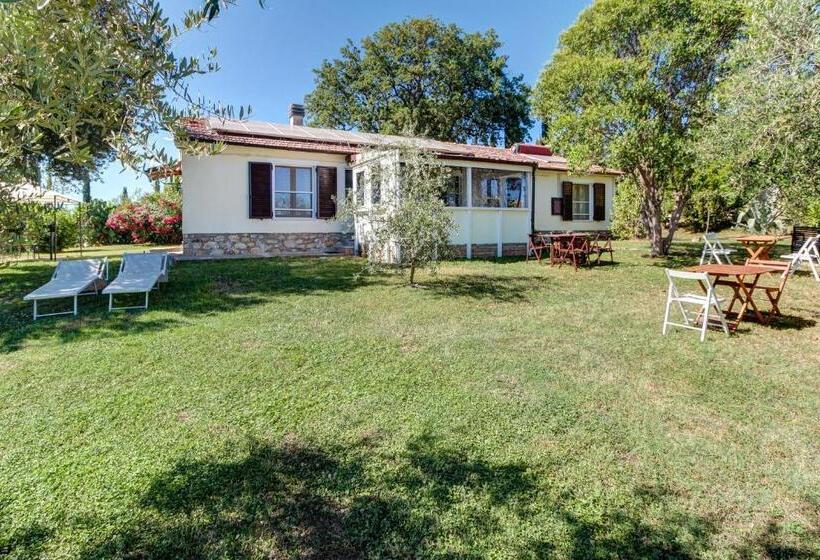 Artemisia Negli Ulivi B&b