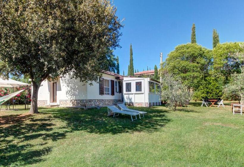 Artemisia Negli Ulivi B&b