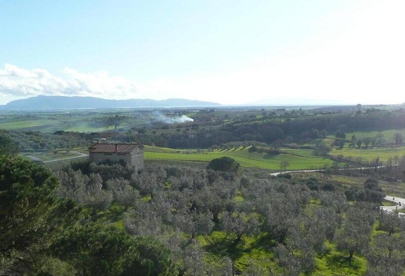 Artemisia Negli Ulivi B&b