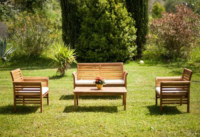 Artemisia Negli Ulivi B&b