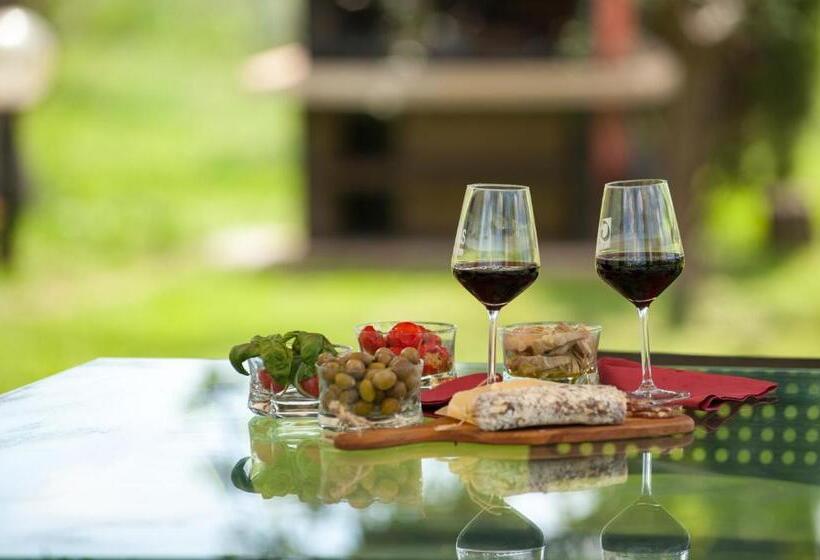 Artemisia Negli Ulivi B&b