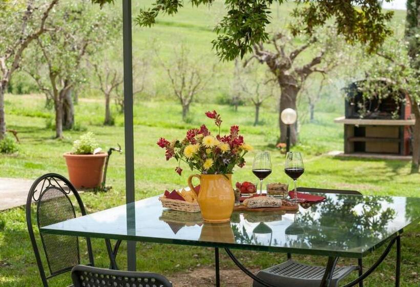 Artemisia Negli Ulivi B&b