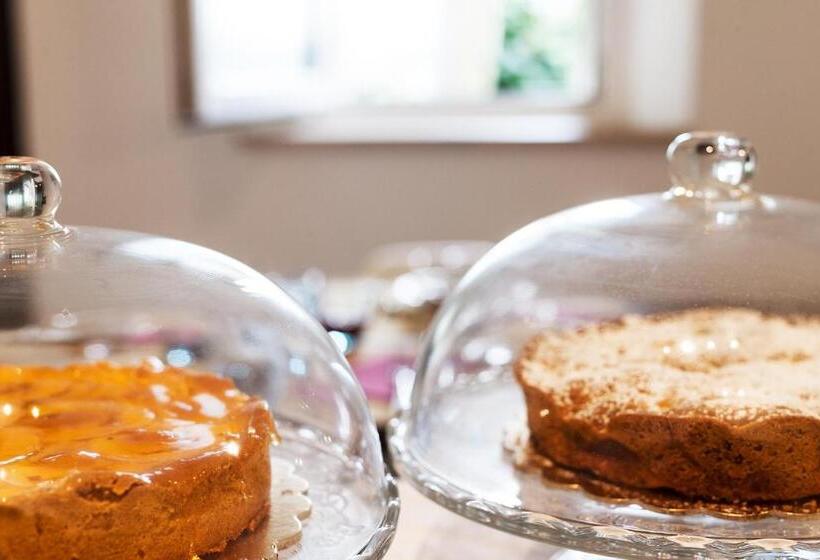 Artemisia Negli Ulivi B&b