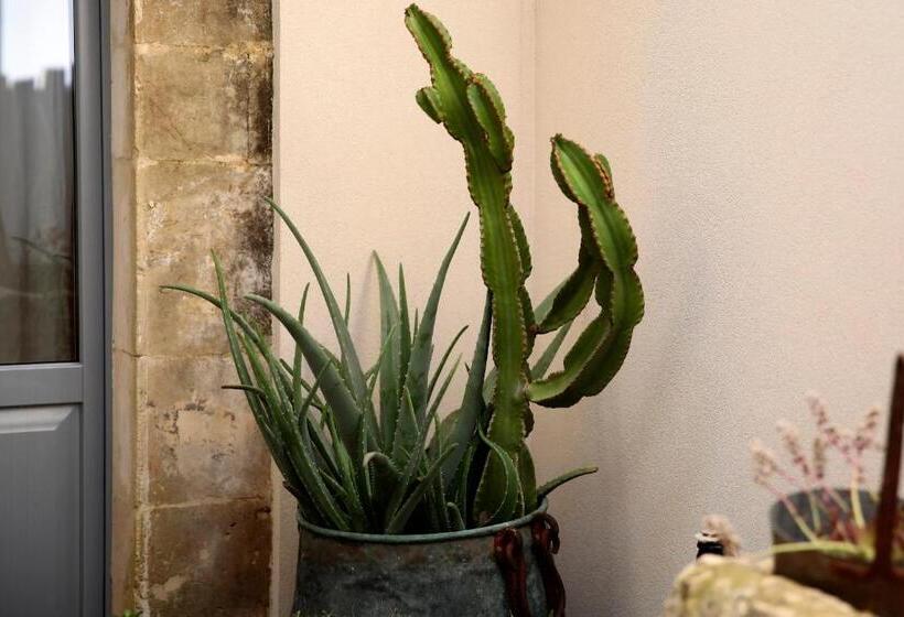 مبيت وإفطار Dimora Di Catullo   Ospitalità Di Charme