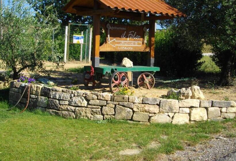 Отель Agriturismo Il Falco