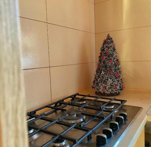 פנסיון Faina House