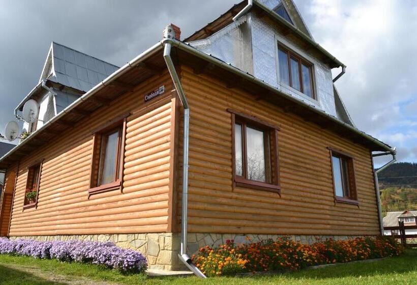 פנסיון Faina House