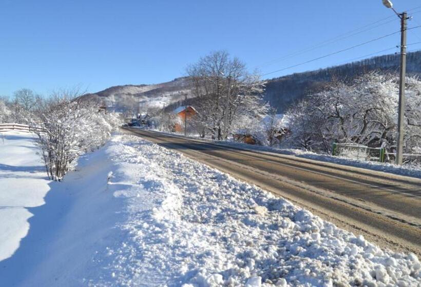 פנסיון Faina House