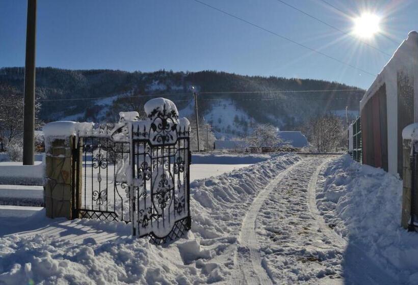 פנסיון Faina House