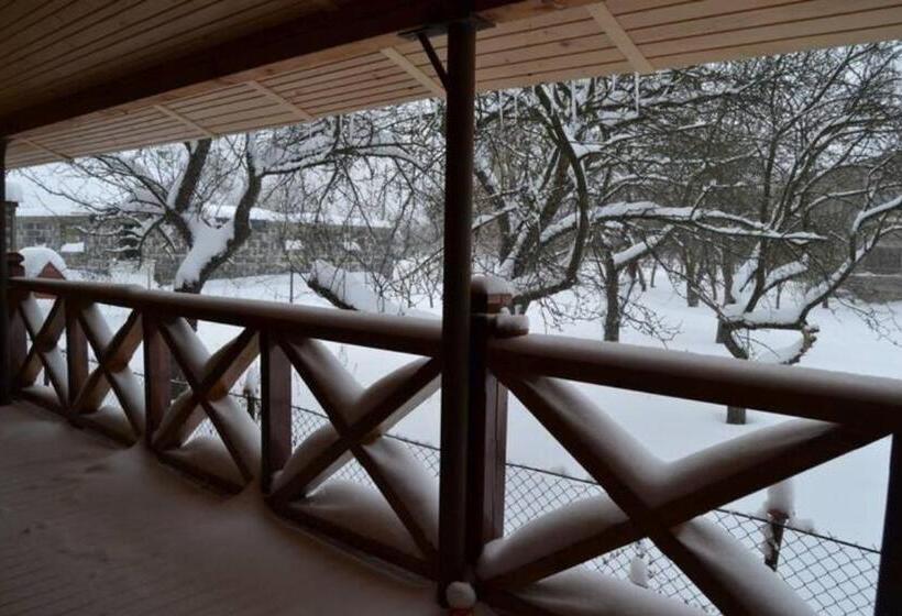 פנסיון Faina House