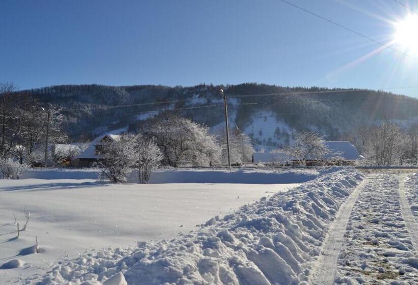 פנסיון Faina House