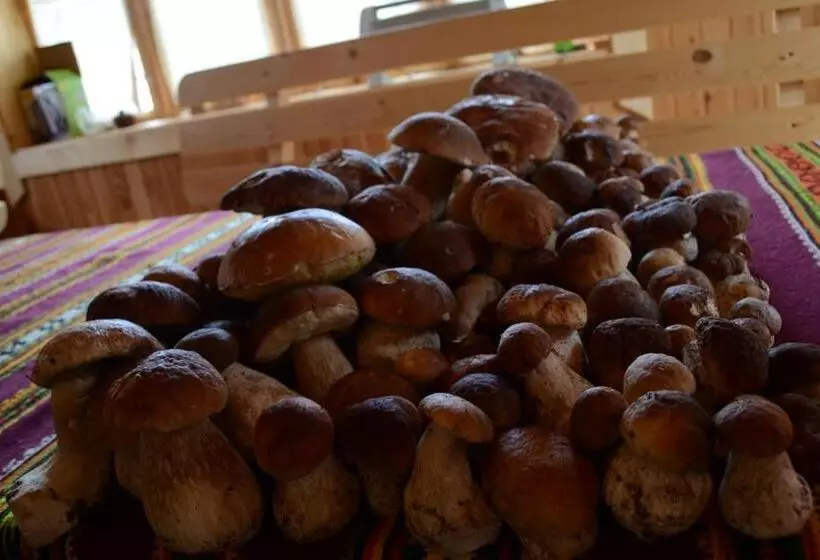 Majatalo Faina House