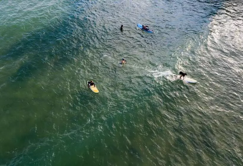 Majatalo Forcus Cabanas