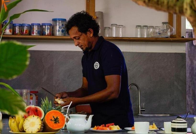 פנסיון Forcus Cabanas