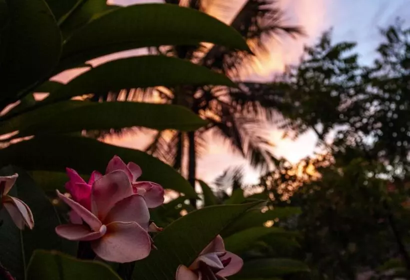 Majatalo Forcus Cabanas